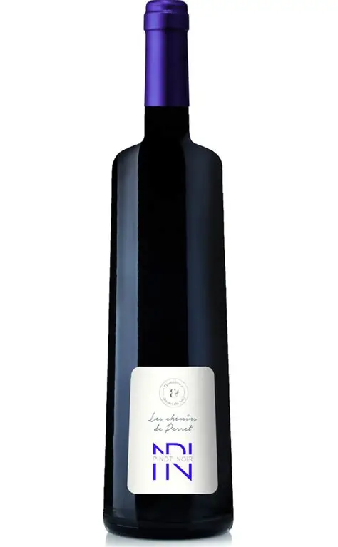 PINOT NOIR CHEMIN PERRET 75CL